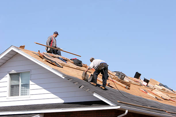 Best Roof Moss and Algae Removal  in Clinton, OH
